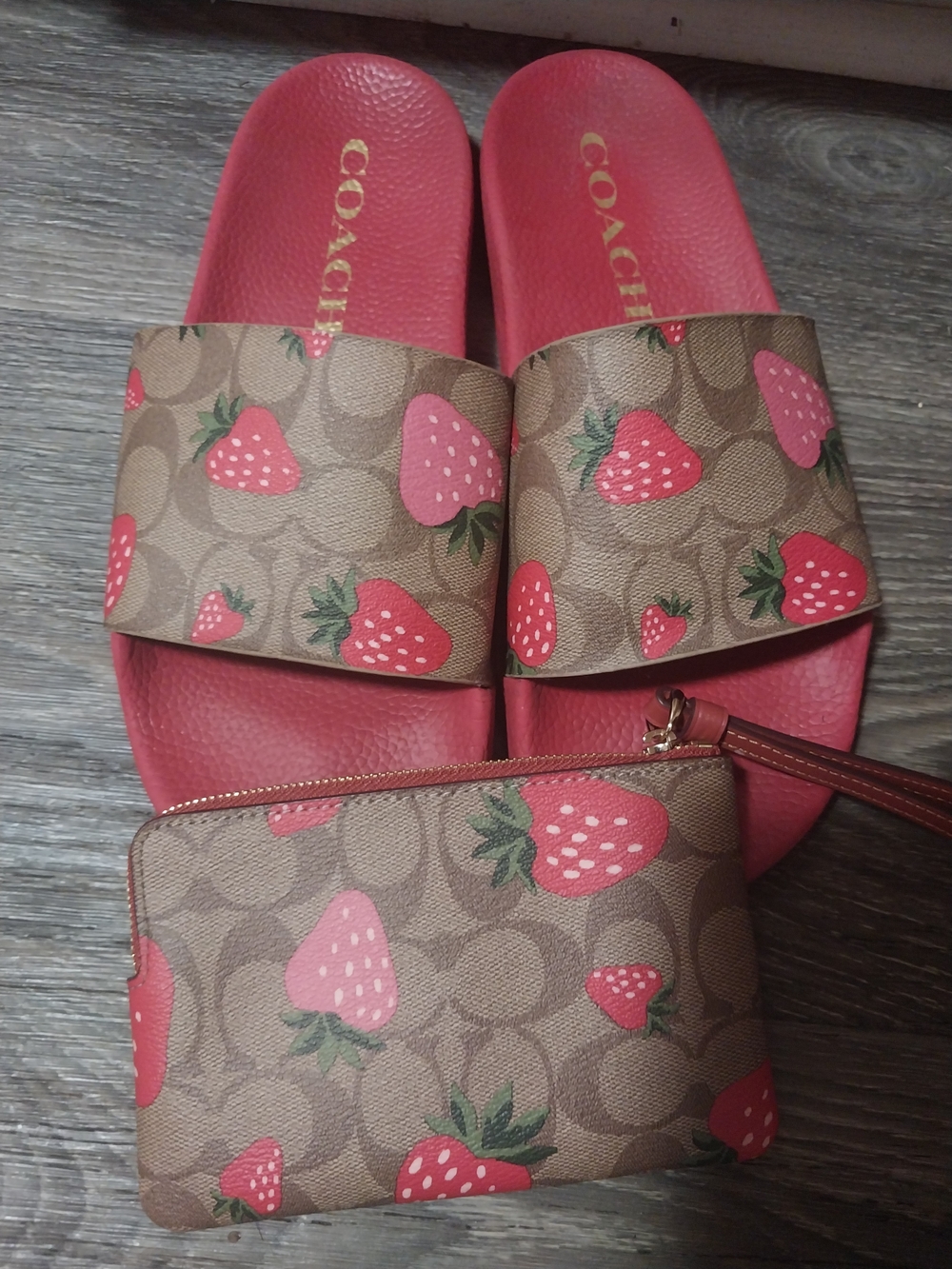 Coach Strawberry Print Wristlet and Slide Sandals in Red and Brown